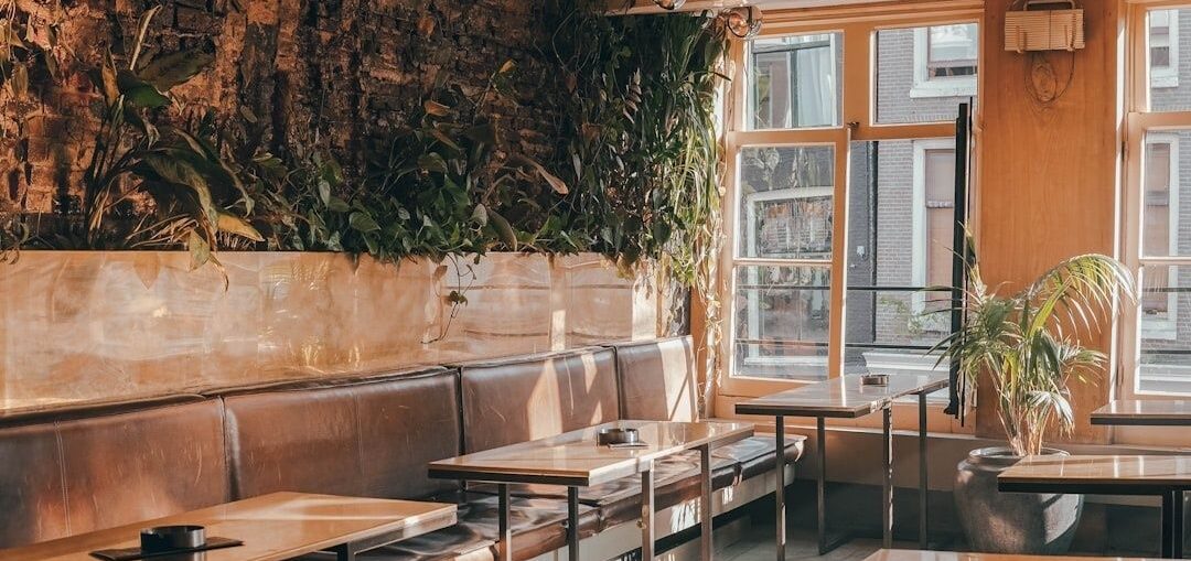 Lys café med lædersofaer, træborde og grønne planter